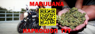 сатива Апшеронск