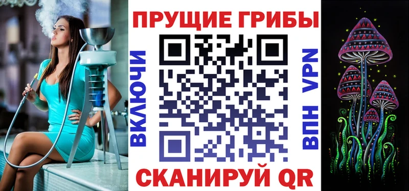 Галлюциногенные грибы Psilocybe  нарко площадка клад  Белогорск  купить  сайты 