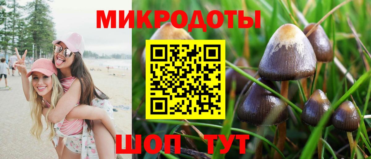 Галлюциногенные грибы ЛСД  Галлюциногенные грибы Cubensis  цены   Вход с VPN  Белогорск 
